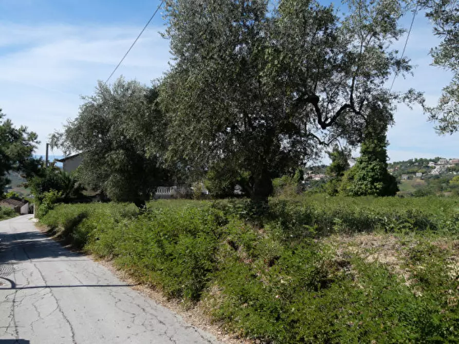 Immagine 5 di Terreno in vendita  in Strada Valle Ferzetti a Pescara