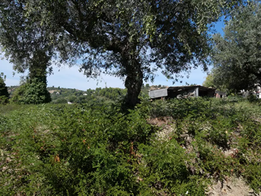 Immagine 5 di Terreno in vendita  in Strada Valle Ferzetti a Pescara