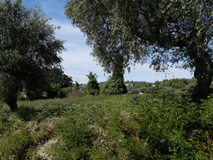 Immagine 8 di Terreno in vendita  in Strada Valle Ferzetti a Pescara