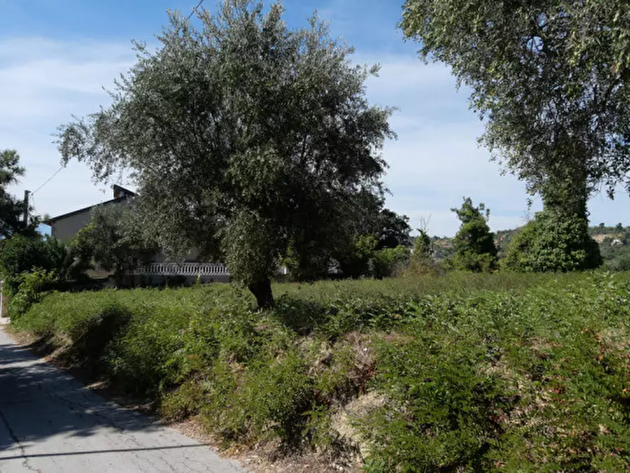 Immagine 13 di Terreno in vendita  in Strada Valle Ferzetti a Pescara