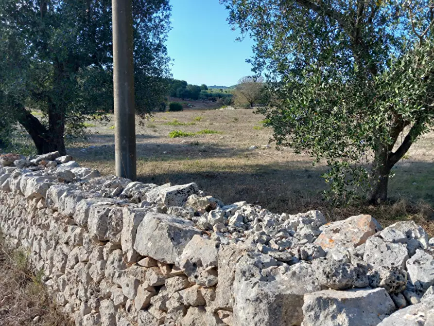 Immagine 3 di Terreno in vendita  in C.da Zingariello a Ostuni