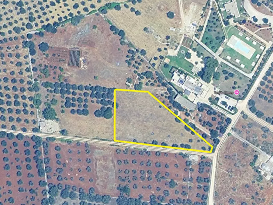 Immagine 6 di Terreno in vendita  in C.da Zingariello a Ostuni