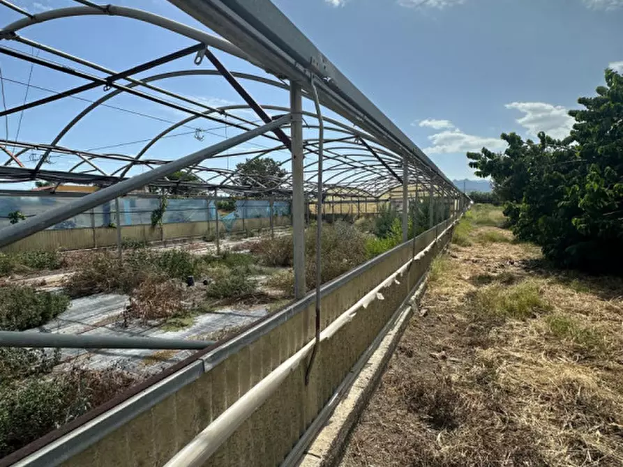 Immagine 3 di Terreno in vendita  in Via toledo a Milazzo