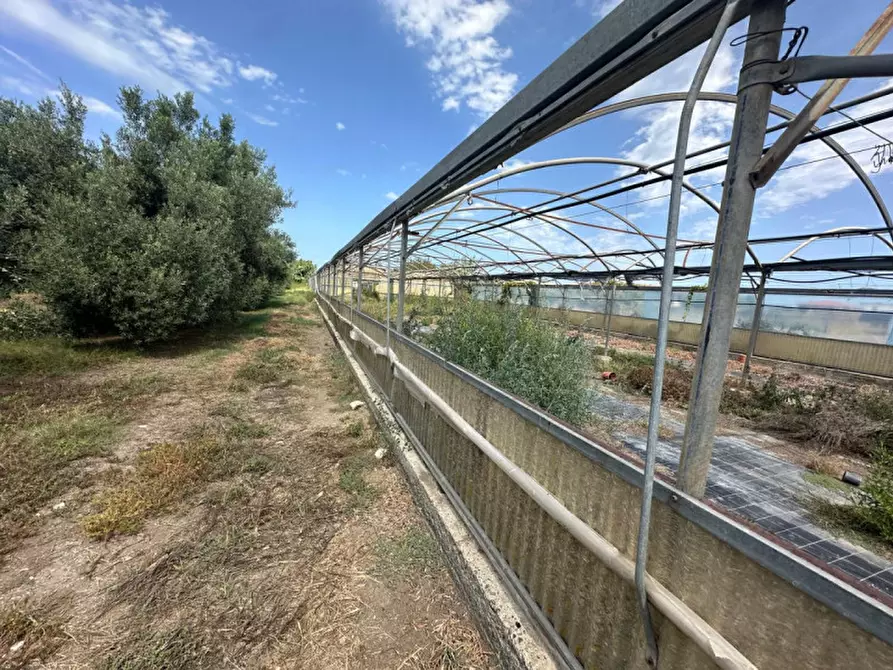 Immagine 4 di Terreno in vendita  in Via toledo a Milazzo