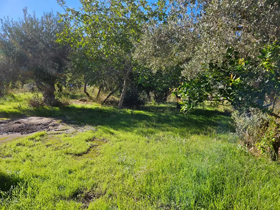 Immagine 4 di Terreno in vendita  in Via Gran Paradiso SNC a Carini