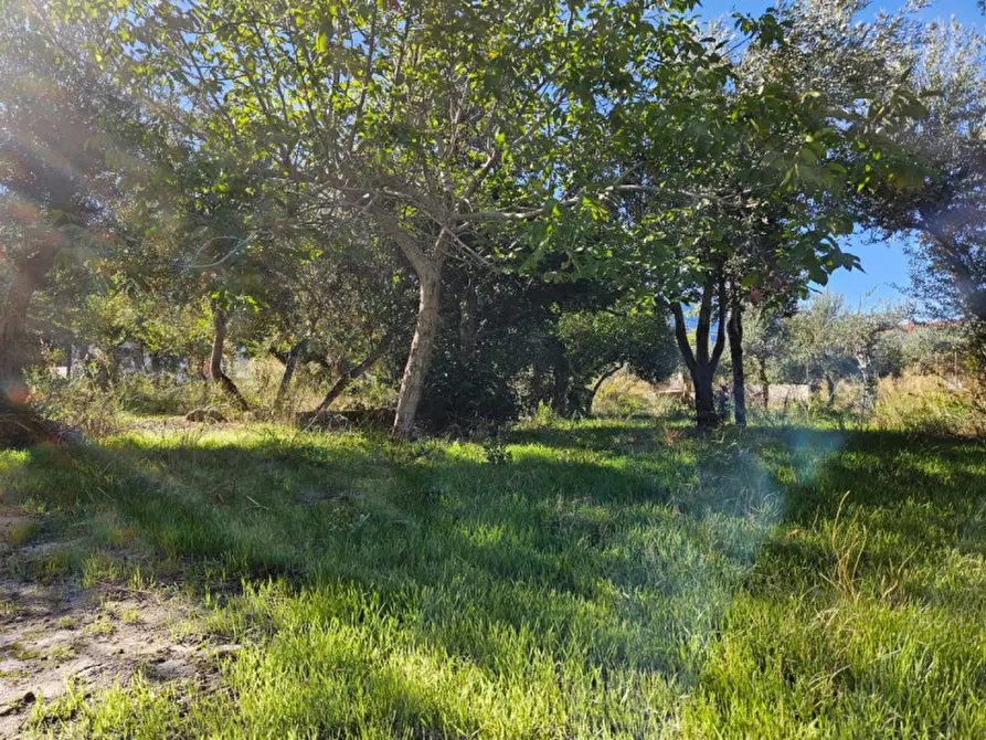 Immagine 5 di Terreno in vendita  in Via Gran Paradiso SNC a Carini