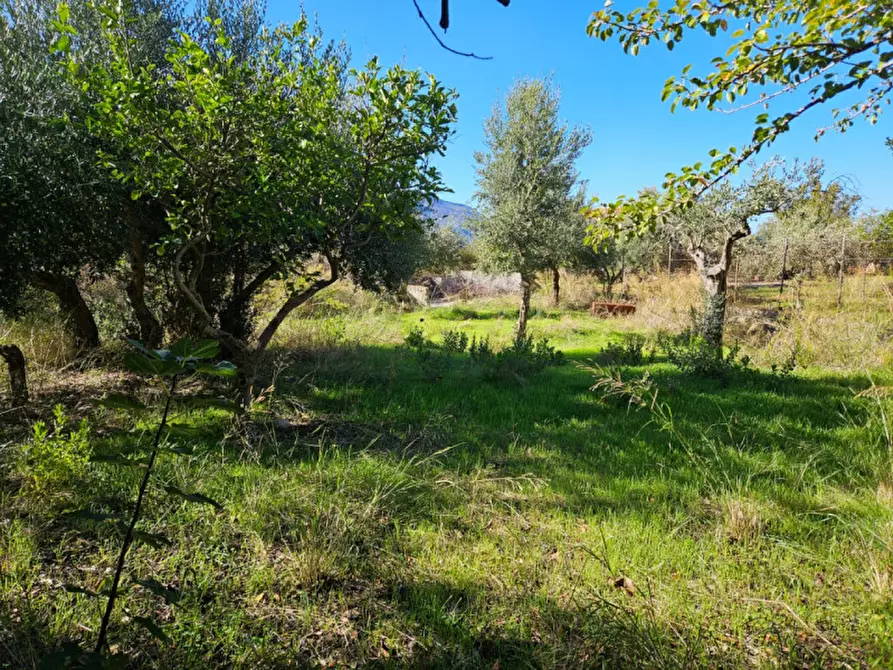 Immagine 6 di Terreno in vendita  in Via Gran Paradiso SNC a Carini