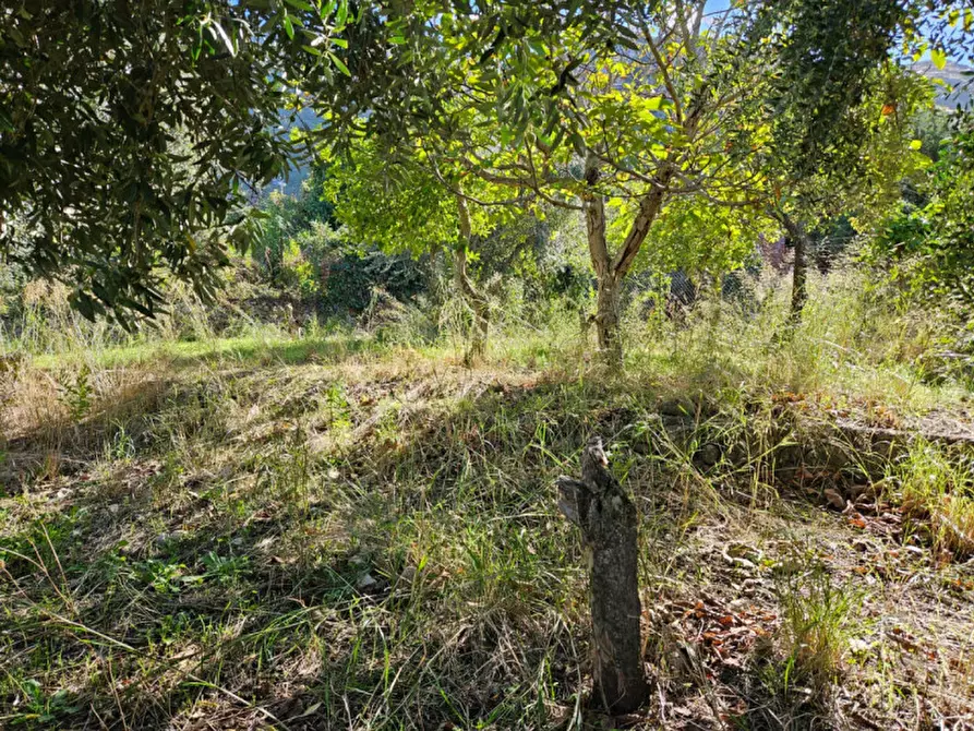 Immagine 7 di Terreno in vendita  in Via Gran Paradiso SNC a Carini