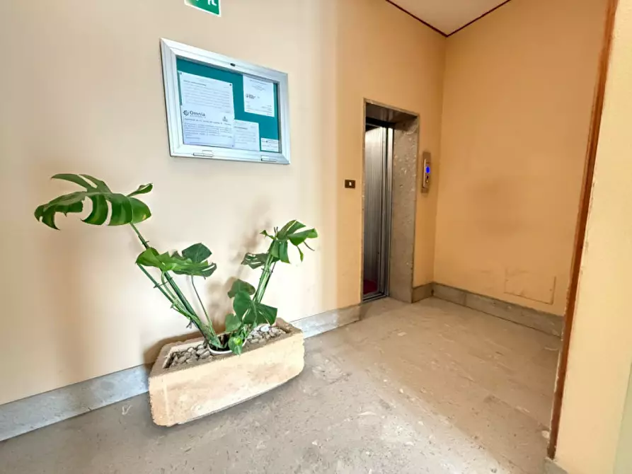 Immagine 5 di Appartamento in vendita  in Viale alcide de gasperi 70 a Palermo