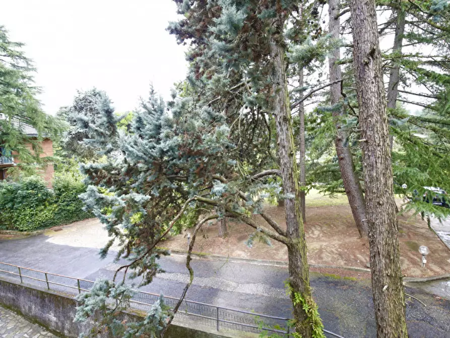 Immagine 12 di Appartamento in vendita  in Via dei Pioppi a Pino Torinese