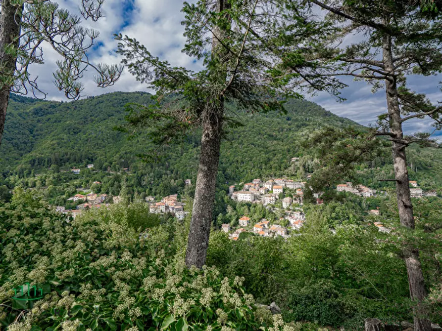 Immagine 4 di Villa in vendita  in Granaglione a Alto Reno Terme