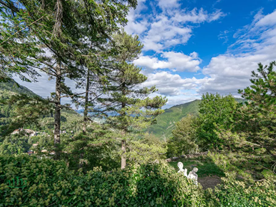 Immagine 22 di Villa in vendita  in Granaglione a Alto Reno Terme