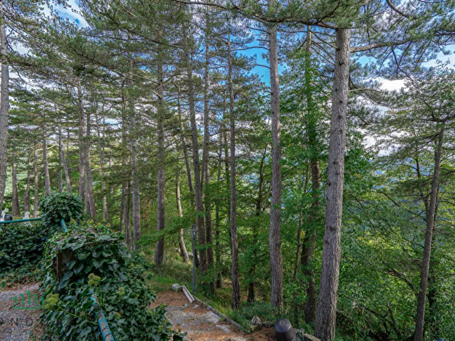 Immagine 26 di Villa in vendita  in Granaglione a Alto Reno Terme