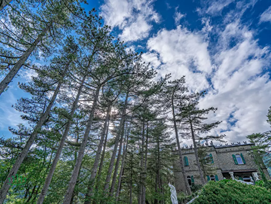 Immagine 85 di Villa in vendita  in Granaglione a Alto Reno Terme