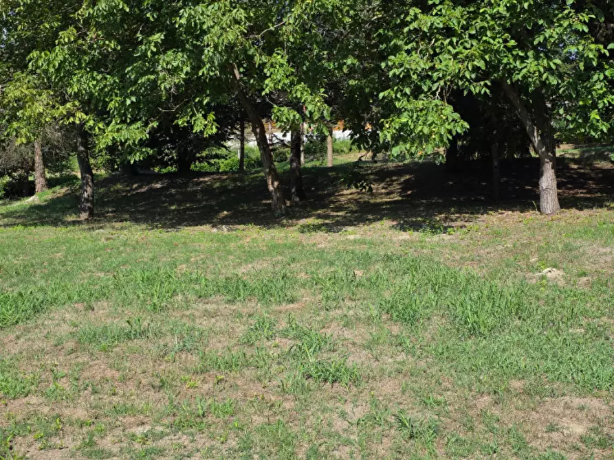 Immagine 11 di Terreno in vendita  in Località San Dalmazzo a Rivalba