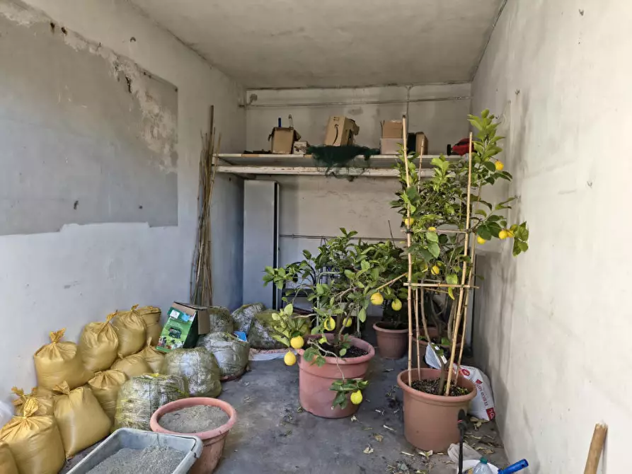 Immagine 47 di Appartamento in vendita  in VIA DEI PIOPPI a Pino Torinese