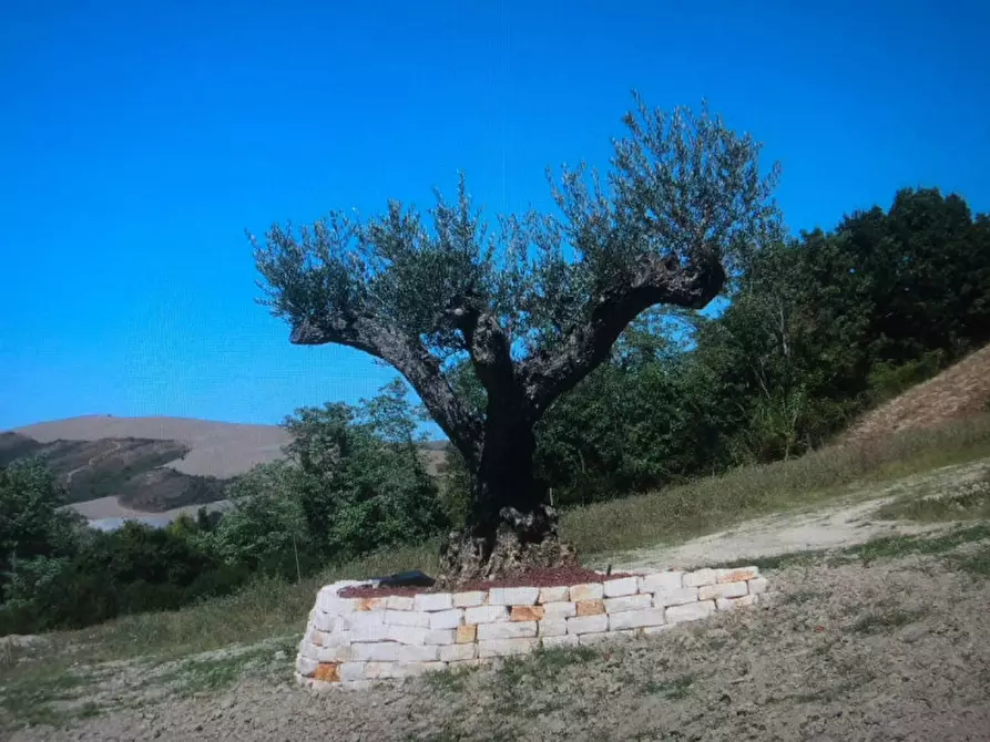 Immagine 53 di Villa in vendita  in via degli spicchi 14 a San Lazzaro Di Savena