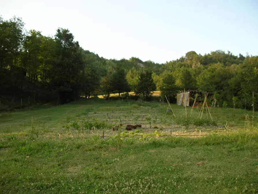Immagine 59 di Villa in vendita  in via degli spicchi 14 a San Lazzaro Di Savena