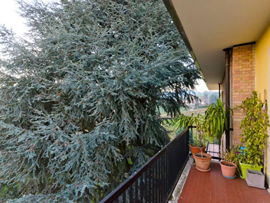 Immagine 20 di Appartamento in vendita  in Via Tepice a Pino Torinese