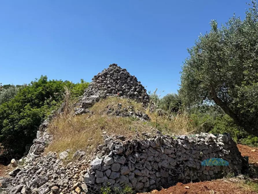 Immagine 2 di Rustico / casale in vendita  in Contrada Vriscigliulo a Ceglie Messapico