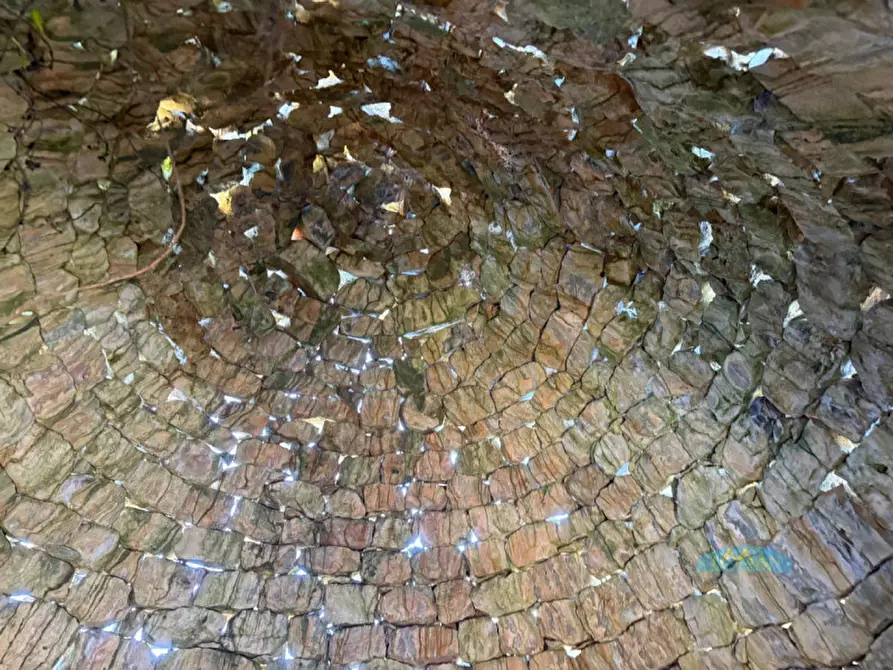 Immagine 3 di Rustico / casale in vendita  in Contrada Vriscigliulo a Ceglie Messapico