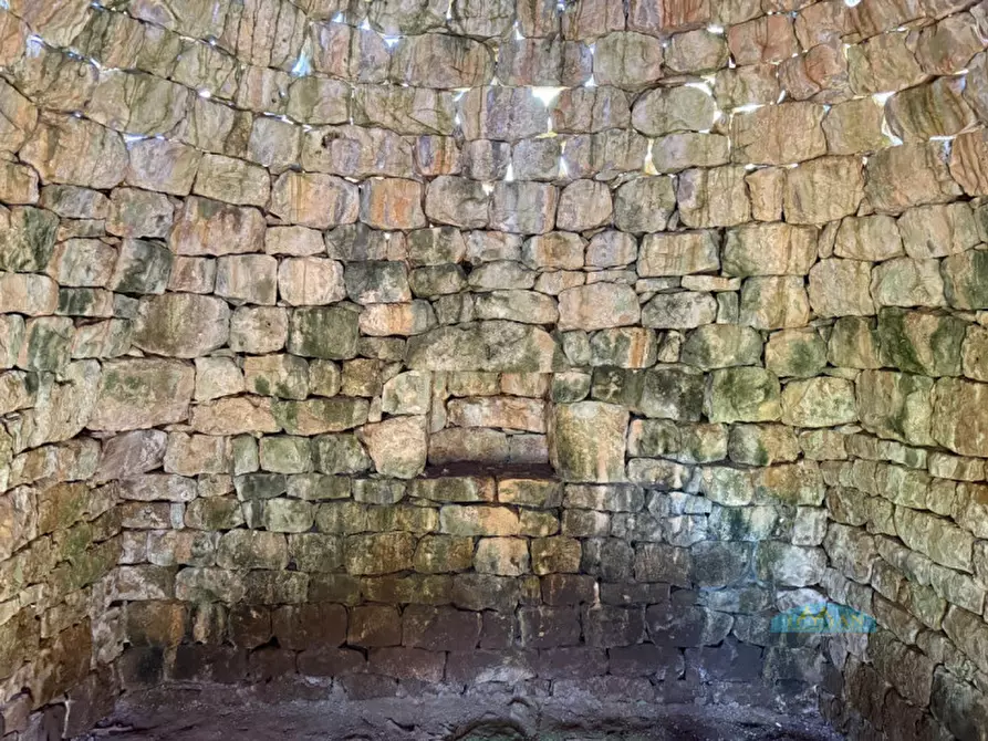 Immagine 4 di Rustico / casale in vendita  in Contrada Vriscigliulo a Ceglie Messapico