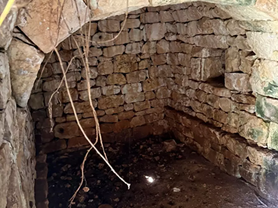 Immagine 5 di Rustico / casale in vendita  in Contrada Vriscigliulo a Ceglie Messapico