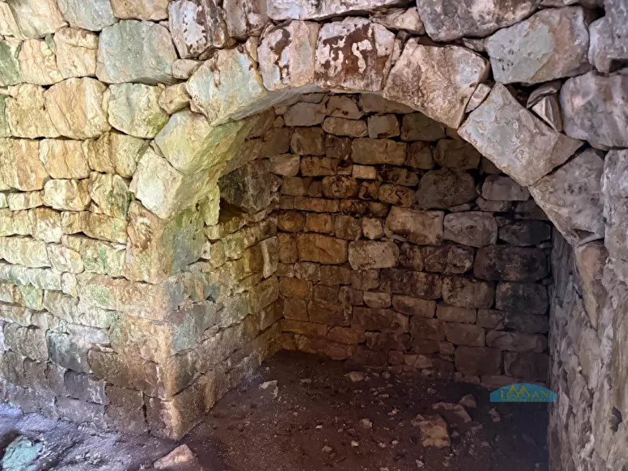 Immagine 6 di Rustico / casale in vendita  in Contrada Vriscigliulo a Ceglie Messapico