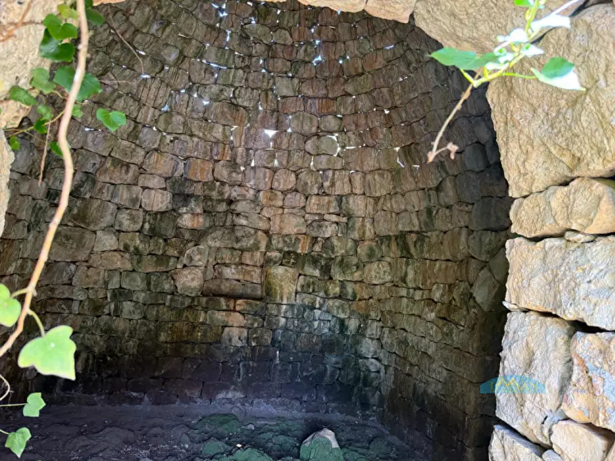 Immagine 7 di Rustico / casale in vendita  in Contrada Vriscigliulo a Ceglie Messapico