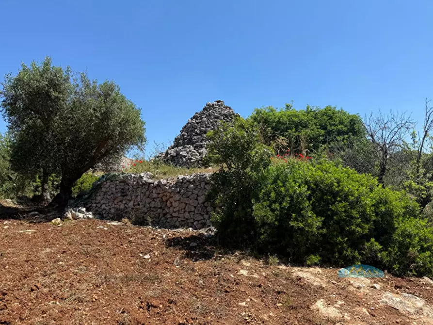 Immagine 8 di Rustico / casale in vendita  in Contrada Vriscigliulo a Ceglie Messapico