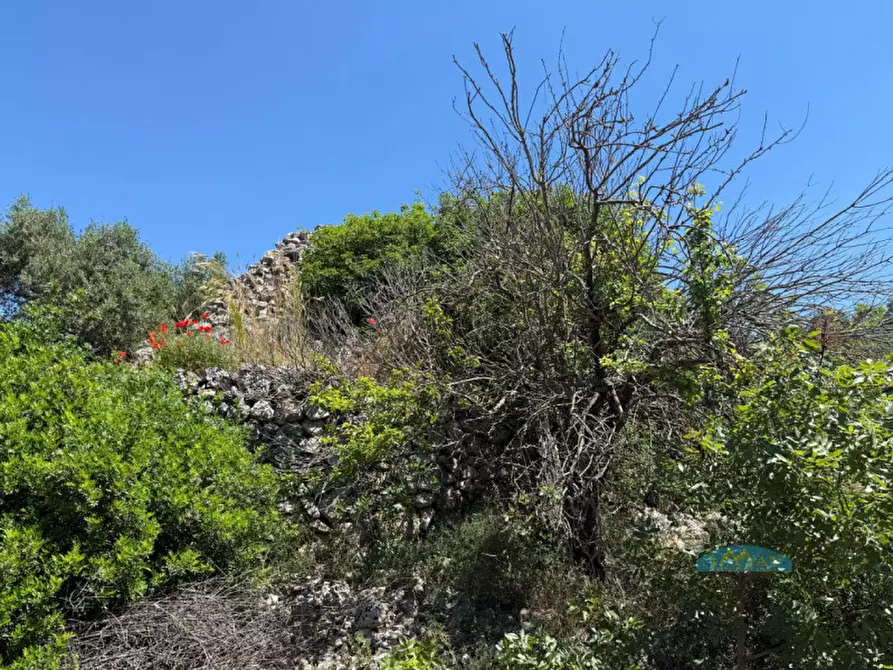 Immagine 9 di Rustico / casale in vendita  in Contrada Vriscigliulo a Ceglie Messapico