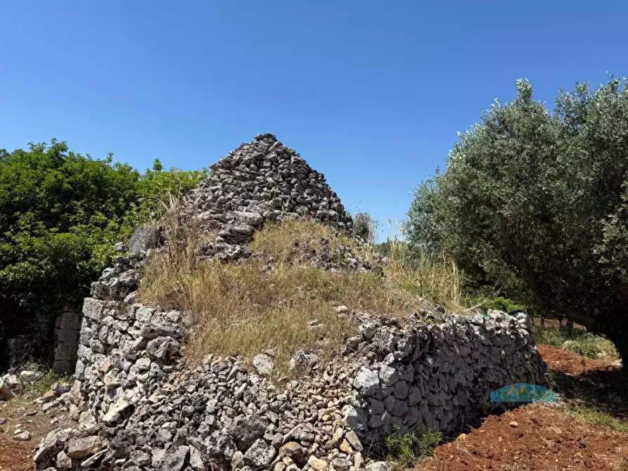 Immagine 10 di Rustico / casale in vendita  in Contrada Vriscigliulo a Ceglie Messapico