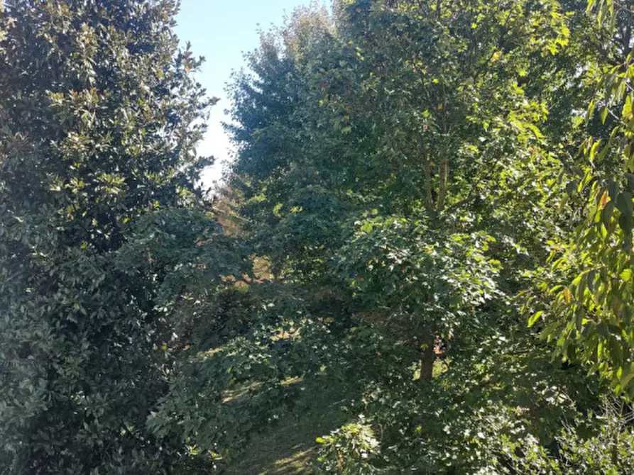 Immagine 17 di Appartamento in vendita  in Via Adamello a Pino Torinese