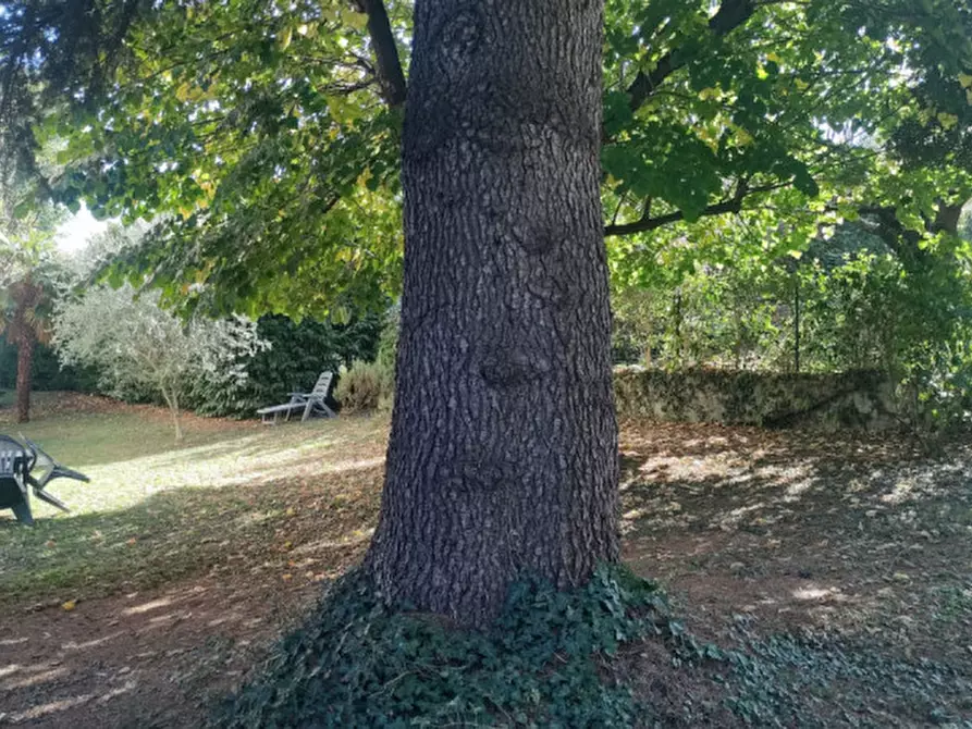 Immagine 29 di Appartamento in vendita  in Via Adamello a Pino Torinese
