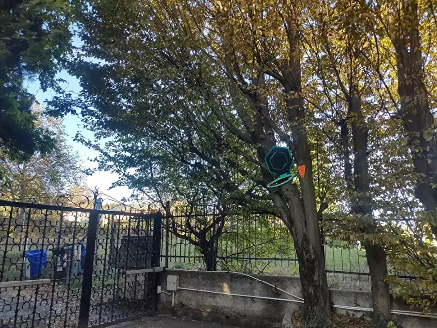 Immagine 11 di Appartamento in vendita  in Via Villa Lovera a Pino Torinese