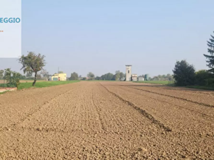 Immagine 6 di Terreno in vendita  in via Carducci a Montebello Della Battaglia