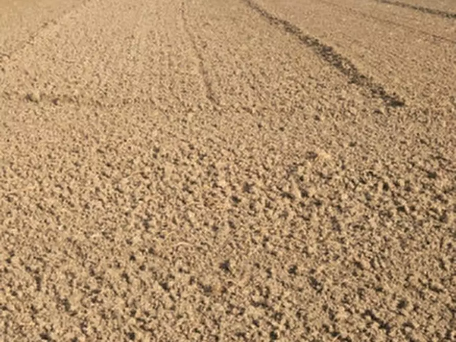 Immagine 7 di Terreno in vendita  in via Carducci a Montebello Della Battaglia