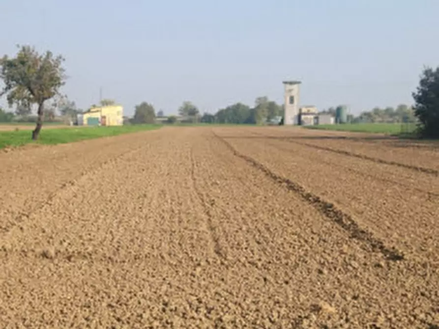 Immagine 8 di Terreno in vendita  in via Carducci a Montebello Della Battaglia