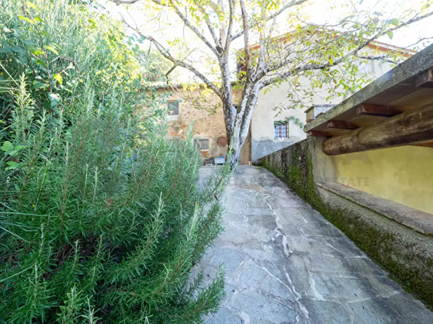 Immagine 5 di Rustico / casale in vendita  in Località Falgano a Rufina