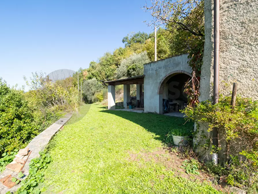 Immagine 6 di Rustico / casale in vendita  in Località Falgano a Rufina