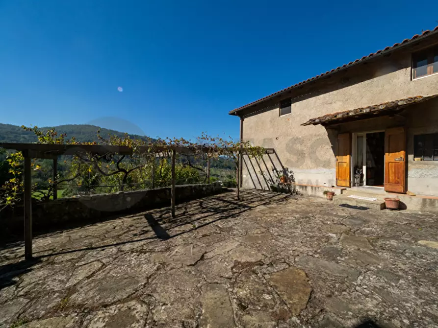 Immagine 9 di Rustico / casale in vendita  in Località Falgano a Rufina