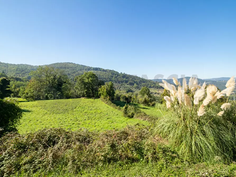 Immagine 34 di Rustico / casale in vendita  in Località Falgano a Rufina