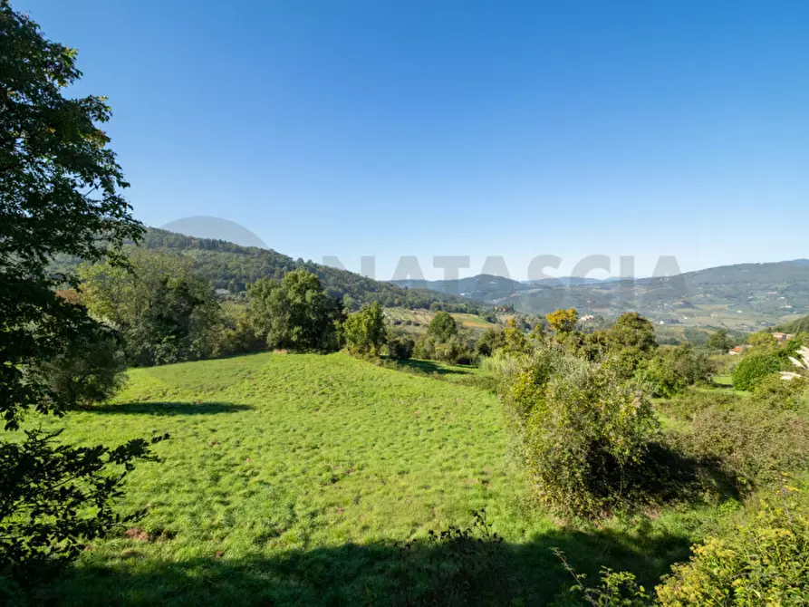 Immagine 35 di Rustico / casale in vendita  in Località Falgano a Rufina
