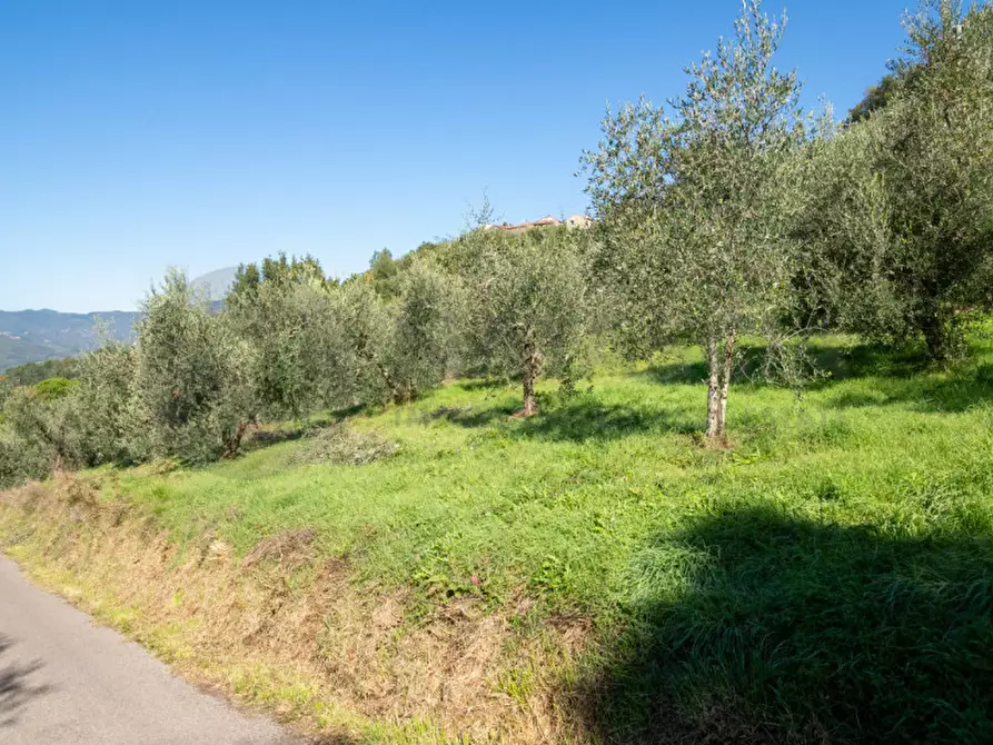 Immagine 36 di Rustico / casale in vendita  in Località Falgano a Rufina