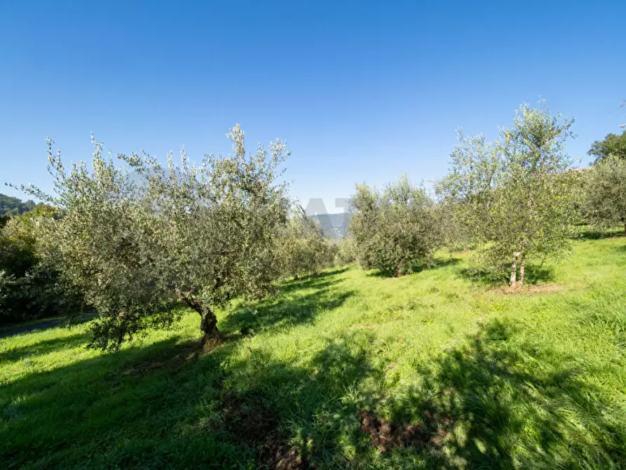 Immagine 37 di Rustico / casale in vendita  in Località Falgano a Rufina