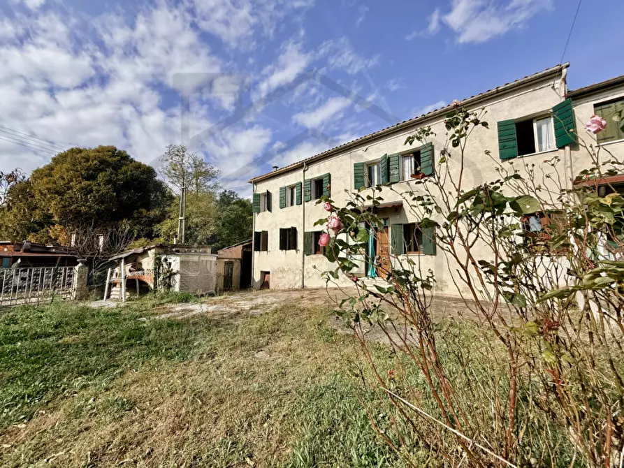Immagine 2 di Casa trifamiliare in vendita  in Via Palù Superiore a Pernumia