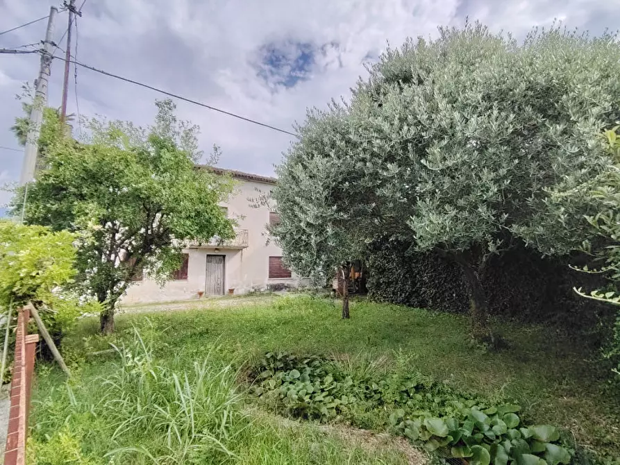 Immagine 3 di Rustico / casale in vendita  a Mussolente