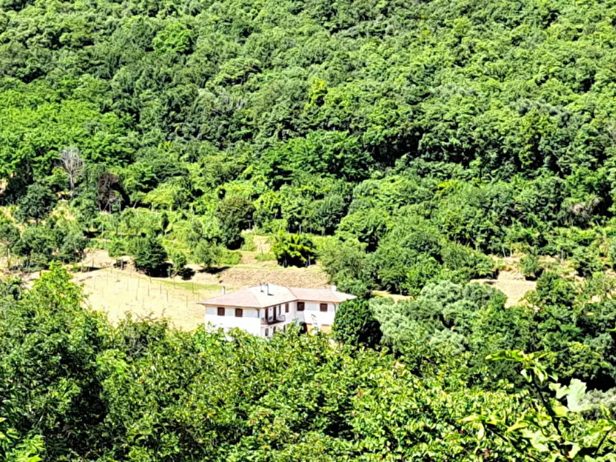 Immagine 3 di Rustico / casale in vendita  a Villaga