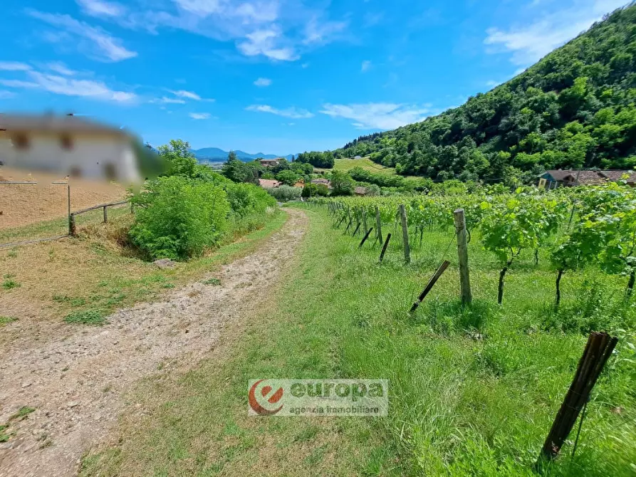 Immagine 5 di Rustico / casale in vendita  a Villaga