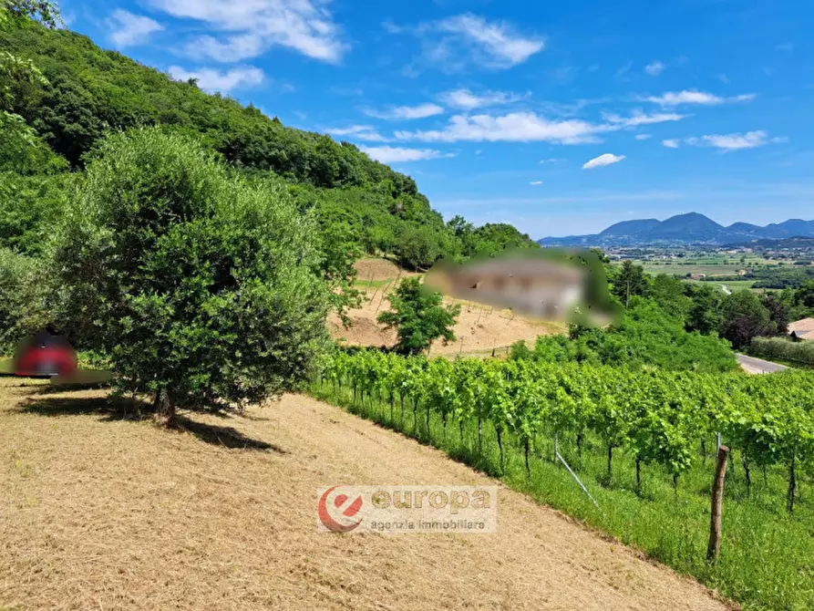 Immagine 6 di Rustico / casale in vendita  a Villaga